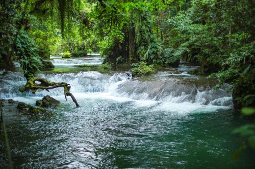 Stay at Eden on the River