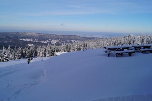 Galeri foto Schronisko PTTK Hala Szrenicka di Szklarska Poreba