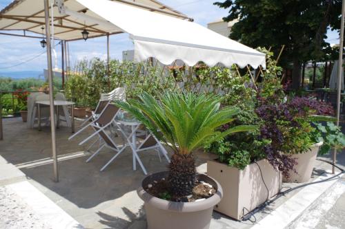 un grupo de plantas en macetas en un patio en Sotiras Rooms, en Skala Sotiros