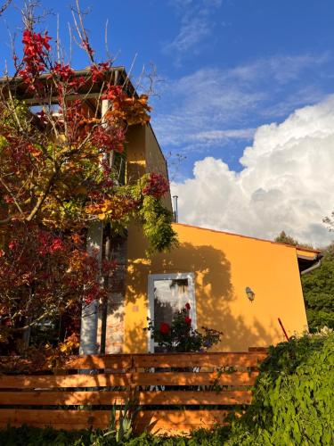 una casa gialla con un albero di fronte di B&B La Fucinaia Pet Friendly Adults only a Campiglia Marittima