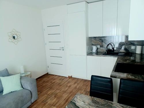 Majoituspaikan AJP Apartament Szczecin Dąbie keittiö tai keittotila