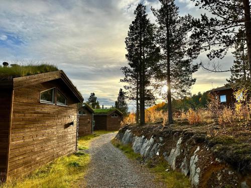 Bjørnfjell Mountain Lodge