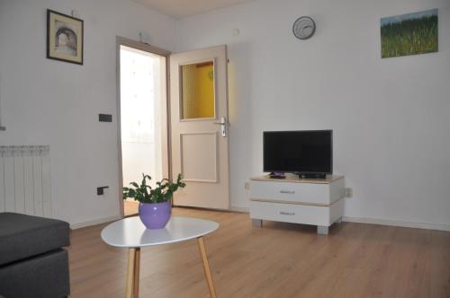 uma sala de estar com uma televisão e uma mesa em Apartman Mirna em Rovinj