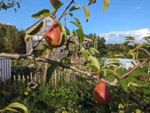 גינה חיצונית ב-Gîte des Genêts en terrasses