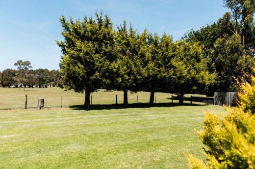 un gruppo di alberi in un campo recintato di The Pavilion on Grossman's a Torquay