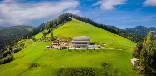 uma grande colina verde com uma casa em Brennergut Ferienwohnung am Bauernhof em Mühlbach am Hochkönig