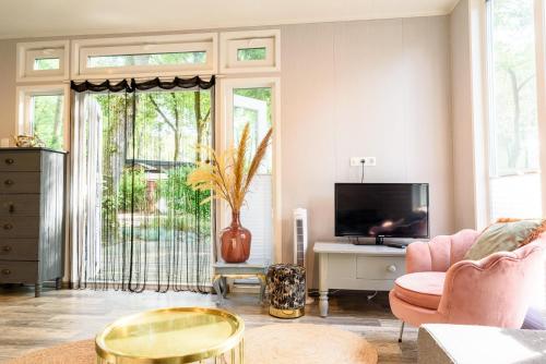 a living room with a tv and a vase at Heerlijk Huisje Hoenderloo in Hoenderloo