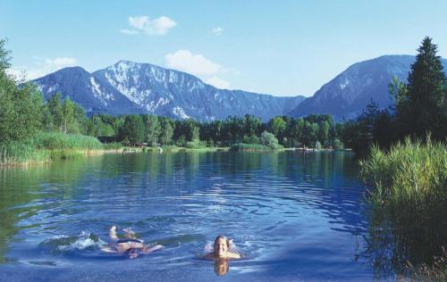 Trois personnes nageant dans un lac avec des montagnes en arrière-plan dans l'établissement Gasthof Plasch, à Ferlach