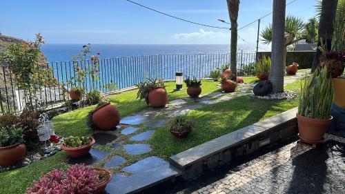 un jardin avec des plantes en pot et l'océan en arrière-plan dans l'établissement Zeza´s Garden, à Calheta