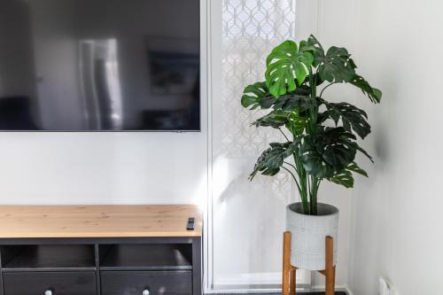 una planta en un jarrón blanco sentado junto a una mesa en The Grove, en Ocean Grove