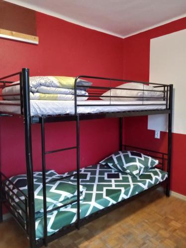 two bunk beds in a room with a red wall at Ewa Dom in Warsaw