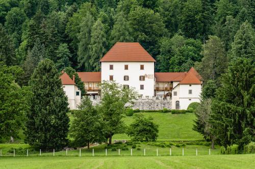 ツェルクニェ・ナ・ゴレニスケムにあるGrad Strmolの緑地の赤屋根の大白い家