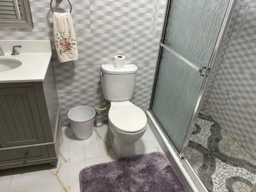 ein Bad mit einer Dusche, einem WC und einem Waschbecken in der Unterkunft Apartment in Montego Bay, St James - Fully Equipped For Long Term Stays in Montego Bay