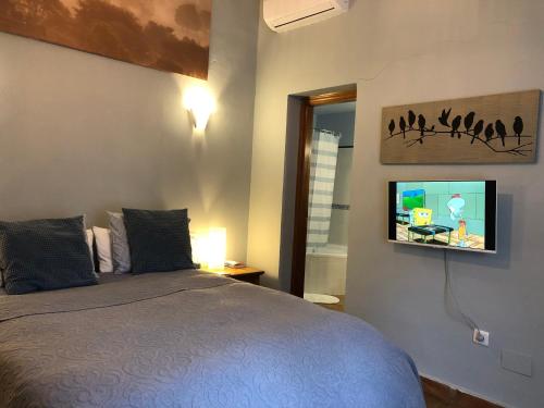 een slaapkamer met een bed en een tv aan de muur bij Finca Las Campanas II in Villanueva de la Concepción