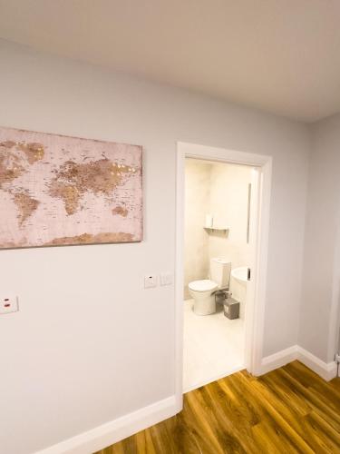 a bathroom with a toilet and a painting on the wall at Entire Cozy Guest house in Galway