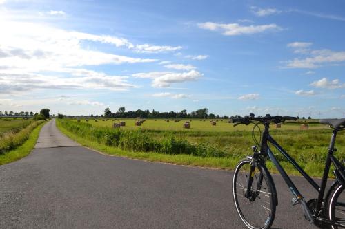 Ciclismo em Ferienwohnung Storchennest 25503 ou nos arredores