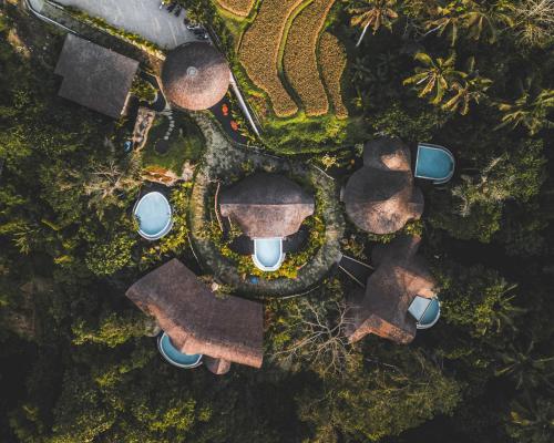 The swimming pool at or close to Jungleight Bali