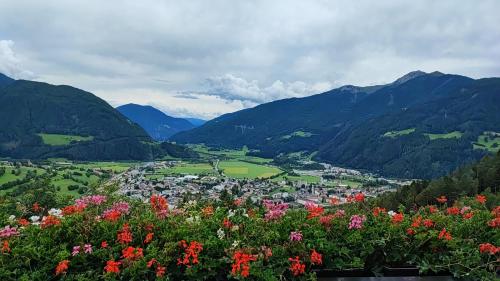 uma vista para um vale com flores e montanhas em Alpenblick Bed & Breakfast em Vipiteno