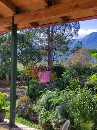 uitzicht op een tuin vanaf de veranda van een huis bij VILLA DOROTHY STUDIO in Delfoi