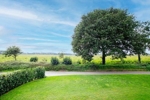 un arbre au milieu d'une prairie dans l'établissement Hotel Restaurant Eeserhof, à Ees