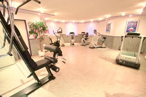 Appartements Biedermeier tesisinde fitness merkezi ve/veya fitness olanakları