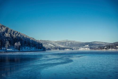 シュルッフゼーにあるTannenhof Fischbach - Fewo 1 "Felchen" - Schluchsee, 2 Schlafzimmerの海岸の木々の大量の水