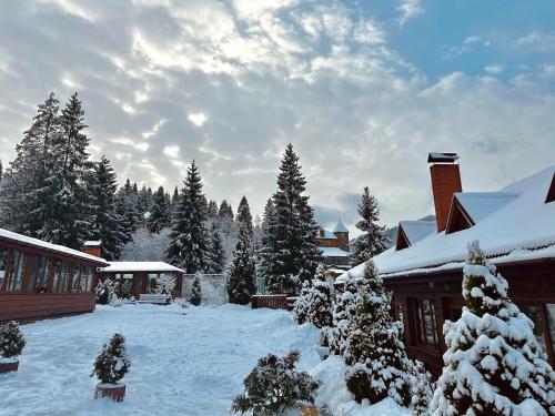 un patio cubierto de nieve con una casa y árboles en Chalet Filvarok, en Slavske