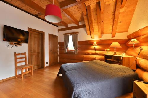 a bedroom with a bed and a tv and a chair at Chambres d'hôtes Les Rondins De La Fecht in Mittlach