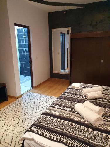 um quarto com 2 camas e um espelho em NANA"S HOUSE APARTAMENT 2 Camere,2 bai em Sibiu