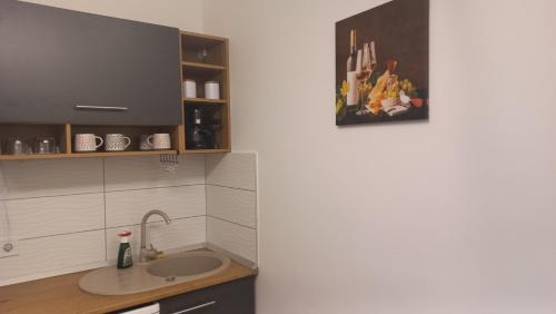 a kitchen with a sink and a painting on the wall at Onix-Vital Apartman Orfű in Orfű