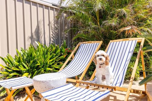 Animal o animals de companyia a Bel Air, 8A Ocean Ave - pet friendly, water views and air con