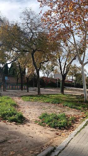 a group of trees in a park with a sidewalk at El Colmenar Habitaciones in Madrid