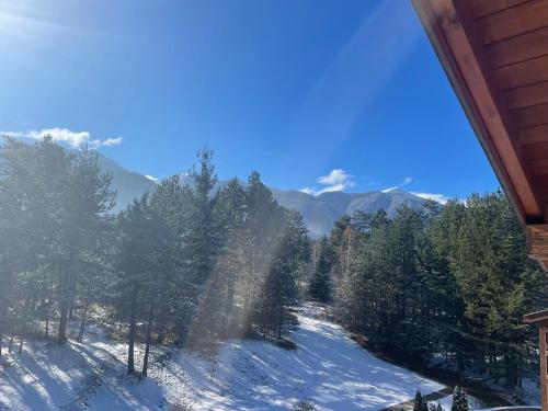 Spacious penthouse chalet apartment in Pirin Golf and Country Club في رازلوغ: مطل على تل مغطى بالثلج وبه اشجار وجبال