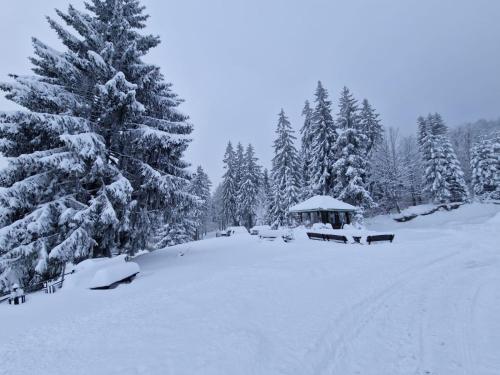 Biały Potok during the winter