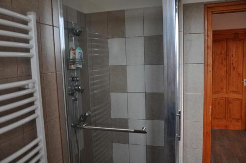 a shower with a glass door in a bathroom at Maros Vendégház in Mórahalom