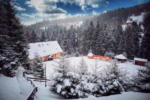 une maison recouverte de neige et d'arbres dans l'établissement Willa Arga, à Piwniczna-Zdrój