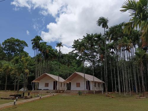 a small house with palm trees around it at Trident Jungle Stay in Dandeli