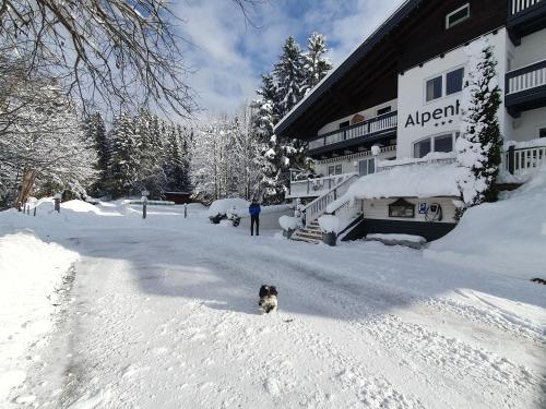 Objekt Boutique Hotel Alpenhof zimi