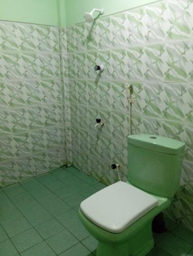 een badkamer met een groen toilet in een kamer bij NMA Holiday Inn in Jaffna