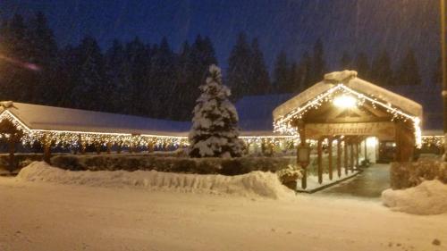 un kiosque recouvert de neige la nuit dans l'établissement Chalet Al Lago, à San Vito di Cadore