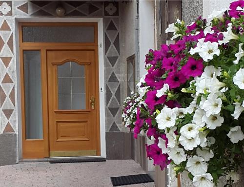 a door with flowers in front of a house at Appartamenti Dany in Arabba