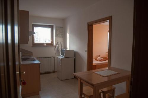 een keuken met een wastafel, een koelkast en een tafel bij Rooms and Apartments Panker in Moravske-Toplice