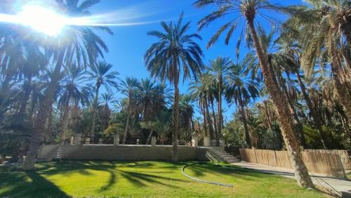 a yard with palm trees and a fence at Maison d'hôtes Dar Ranim Tozeur in Tozeur