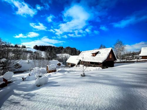 Traditional deer Cabin with Sauna pozimi