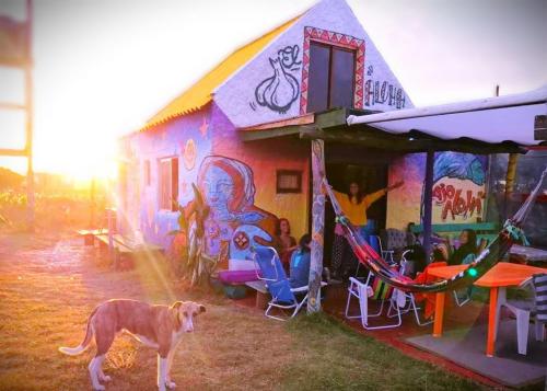 a dog standing in front of a building with graffiti at Ajo Aloha Hostel in Cabo Polonio