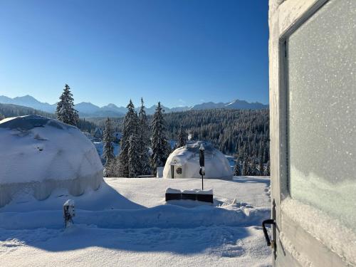 ブコビナ・タトシャンスカにあるTatra Glamp Bukowina Tatrzańska - Sieć noclegowa Tatra Glampの雪に覆われたイグルーのある建物