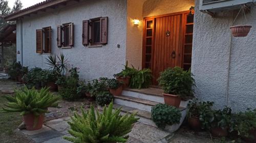 Nafpaktos cottage by the sea for travelers and dreamers! tesisinin dışında bir bahçe