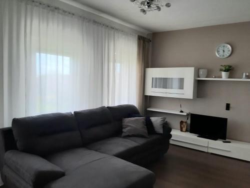 ein Wohnzimmer mit einem Sofa und einem TV in der Unterkunft Ferienwohnung Leithaberg in Eisenstadt