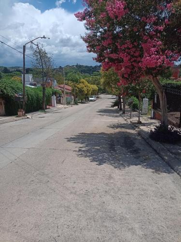 eine leere Straße mit einem Baum mit rosa Blumen in der Unterkunft Depto. próximo al Centro y Rio San Antonio in Villa Carlos Paz