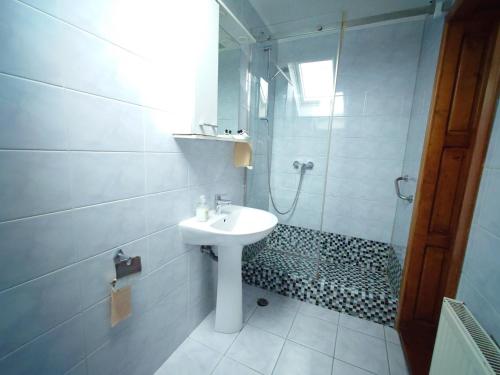 Pensiunea San tesisinde bir banyo